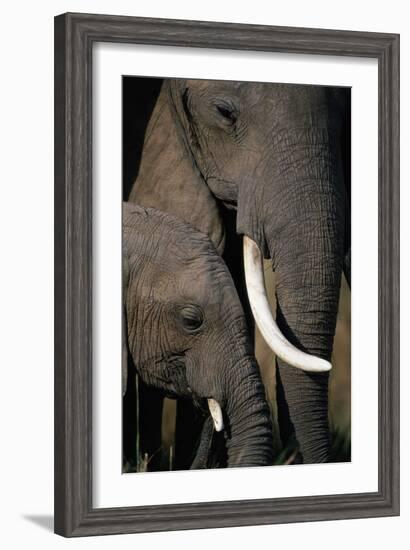 African Elephants-Paul Souders-Framed Photographic Print