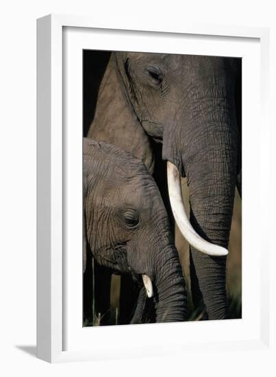 African Elephants-Paul Souders-Framed Photographic Print