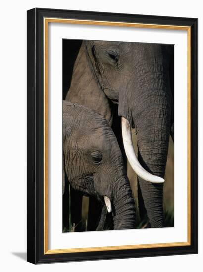 African Elephants-Paul Souders-Framed Photographic Print