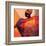 African Fire-Joadoor-Framed Art Print