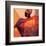 African Fire-Joadoor-Framed Art Print