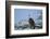 African fish eagle (Haliaeetus vocifer), Selous Game Reserve, Tanzania, East Africa, Africa-James Hager-Framed Photographic Print