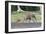 African Forest Elephant And Calf-Tony Camacho-Framed Photographic Print