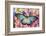 African Giant Blue Swallowtail Butterfly, Papilio Zalmoxis-Darrell Gulin-Framed Photographic Print