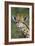 African Giraffes 002-Bob Langrish-Framed Photographic Print