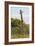 African Giraffes 026-Bob Langrish-Framed Photographic Print