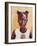 African Girl-Tilly Willis-Framed Giclee Print