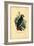 African Grey Parrot, 1863-79-Raimundo Petraroja-Framed Giclee Print