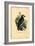 African Grey Parrot, 1863-79-Raimundo Petraroja-Framed Giclee Print