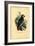 African Grey Parrot, 1863-79-Raimundo Petraroja-Framed Giclee Print