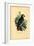 African Grey Parrot, 1863-79-Raimundo Petraroja-Framed Giclee Print