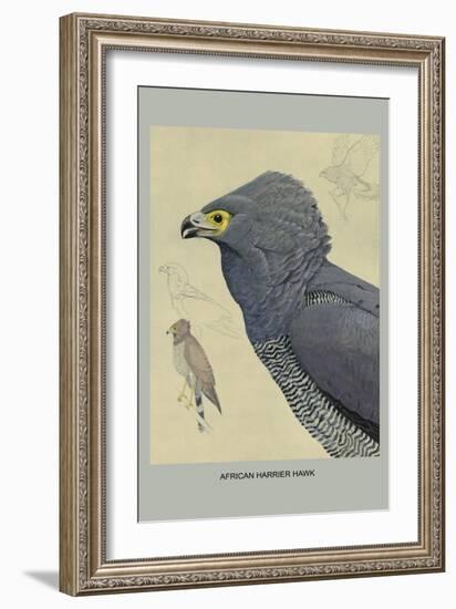 African Harrier Hawk-Louis Agassiz Fuertes-Framed Art Print