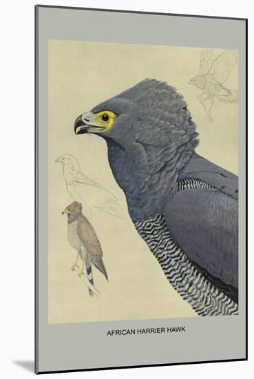 African Harrier Hawk-Louis Agassiz Fuertes-Mounted Art Print