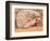 African Hedgehog, Native to Africa-David Northcott-Framed Photographic Print