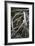 African Hoopoe 01-Bob Langrish-Framed Photographic Print