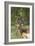 African Impala 12-Bob Langrish-Framed Photographic Print