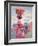 African Lady, 1988-Carlton Murrell-Framed Giclee Print