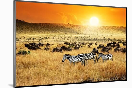 African Landscape. Zebras Herd and Antelopes Wildebeest at Sunset, Kenya-Oleg Znamenskiy-Mounted Photographic Print