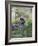 African Leopard, Masai Mara National Reserve, Kenya, East Africa, Africa-Angelo Cavalli-Framed Photographic Print