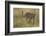 African Leopard-Mary Ann McDonald-Framed Photographic Print