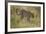 African Leopard-Mary Ann McDonald-Framed Photographic Print