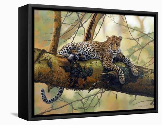 African Leopard-John Zaccheo-Framed Premier Image Canvas