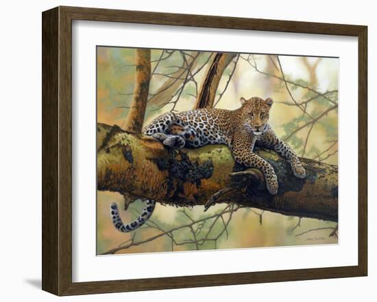 African Leopard-John Zaccheo-Framed Giclee Print