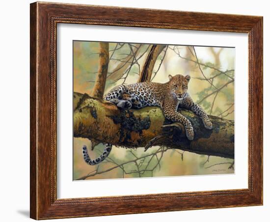 African Leopard-John Zaccheo-Framed Giclee Print