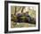 African Leopard-John Zaccheo-Framed Giclee Print