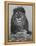 African Lion, Bozeman, Montana, USA-Joe & Mary Ann McDonald-Framed Premier Image Canvas