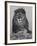 African Lion, Bozeman, Montana, USA-Joe & Mary Ann McDonald-Framed Photographic Print