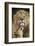 African Lion (Panthera Leo) Cub Reaches For A Moment Of Intimacy With Its Father-Neil Aldridge-Framed Photographic Print