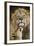 African Lion (Panthera Leo) Cub Reaches For A Moment Of Intimacy With Its Father-Neil Aldridge-Framed Photographic Print