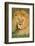 African Lion (Panthera leo), Ndutu, Ngorongoro Conservation Area, Tanzania-null-Framed Photographic Print