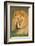 African Lion (Panthera leo), Ndutu, Ngorongoro Conservation Area, Tanzania-null-Framed Photographic Print