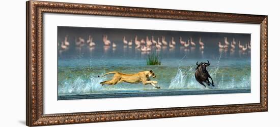 African Lioness (Panthera Leo) Hunting Wildebeests-null-Framed Photographic Print