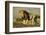 African Male Lion-Mary Ann McDonald-Framed Photographic Print