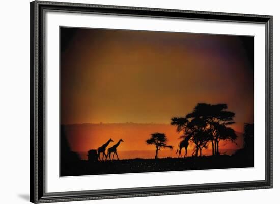 African Moonglow-Bobbie Goodrich-Framed Giclee Print