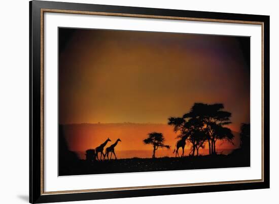 African Moonglow-Bobbie Goodrich-Framed Giclee Print