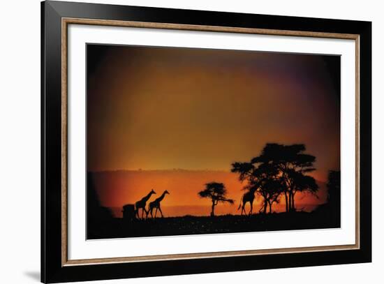 African Moonglow-Bobbie Goodrich-Framed Giclee Print