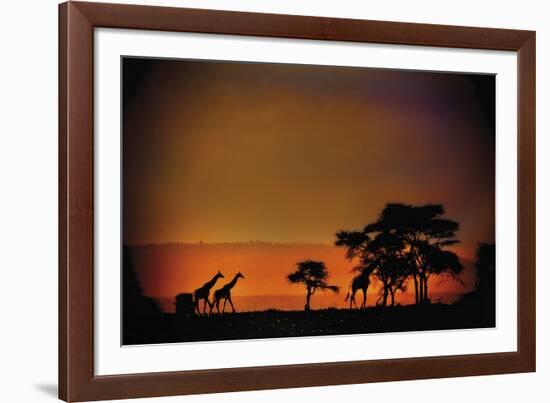 African Moonglow-Bobbie Goodrich-Framed Giclee Print