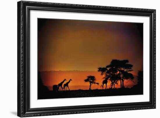 African Moonglow-Bobbie Goodrich-Framed Giclee Print