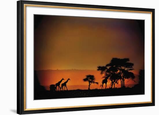 African Moonglow-Bobbie Goodrich-Framed Giclee Print