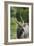 African Nyala 01-Bob Langrish-Framed Photographic Print