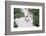 African Penguin (Spheniscus demersus) walking on sand at Boulder's Beach, Cape Town, South Africa-G&M Therin-Weise-Framed Photographic Print