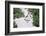 African Penguin (Spheniscus demersus) walking on sand at Boulder's Beach, Cape Town, South Africa-G&M Therin-Weise-Framed Photographic Print