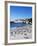 African Penguins at Boulder Beach in Simon's Town, Near Cape Town, South Africa, Africa-Yadid Levy-Framed Photographic Print