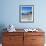 African Penguins at Boulder Beach in Simon's Town, Near Cape Town, South Africa, Africa-Yadid Levy-Framed Photographic Print displayed on a wall