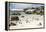 African Penguins on Sand at Foxy Beach with Residential Homes in Background-Kimberly Walker-Framed Premier Image Canvas