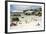 African Penguins on Sand at Foxy Beach with Residential Homes in Background-Kimberly Walker-Framed Photographic Print